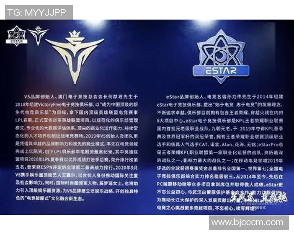 V5在冠军杯中的耐力表现分析与战术解析