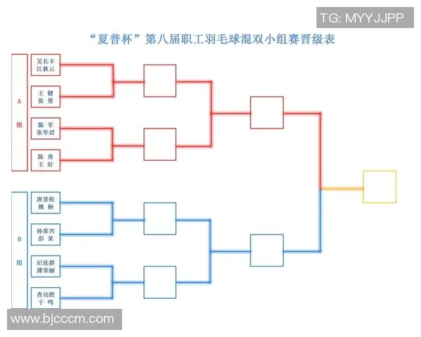 南京羽毛球队在洲际杯中的战术表现分析与点评