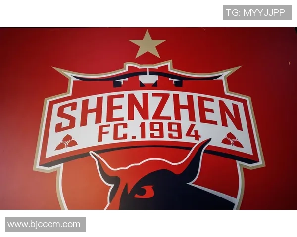 深圳排球队状态分析:聚焦球队表现与未来发展方向 深圳排球队状态分析:聚焦球队表现与未来发展方向