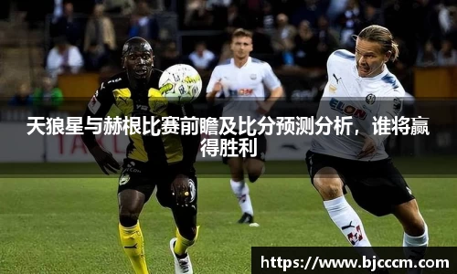 天狼星与赫根比赛前瞻及比分预测分析，谁将赢得胜利